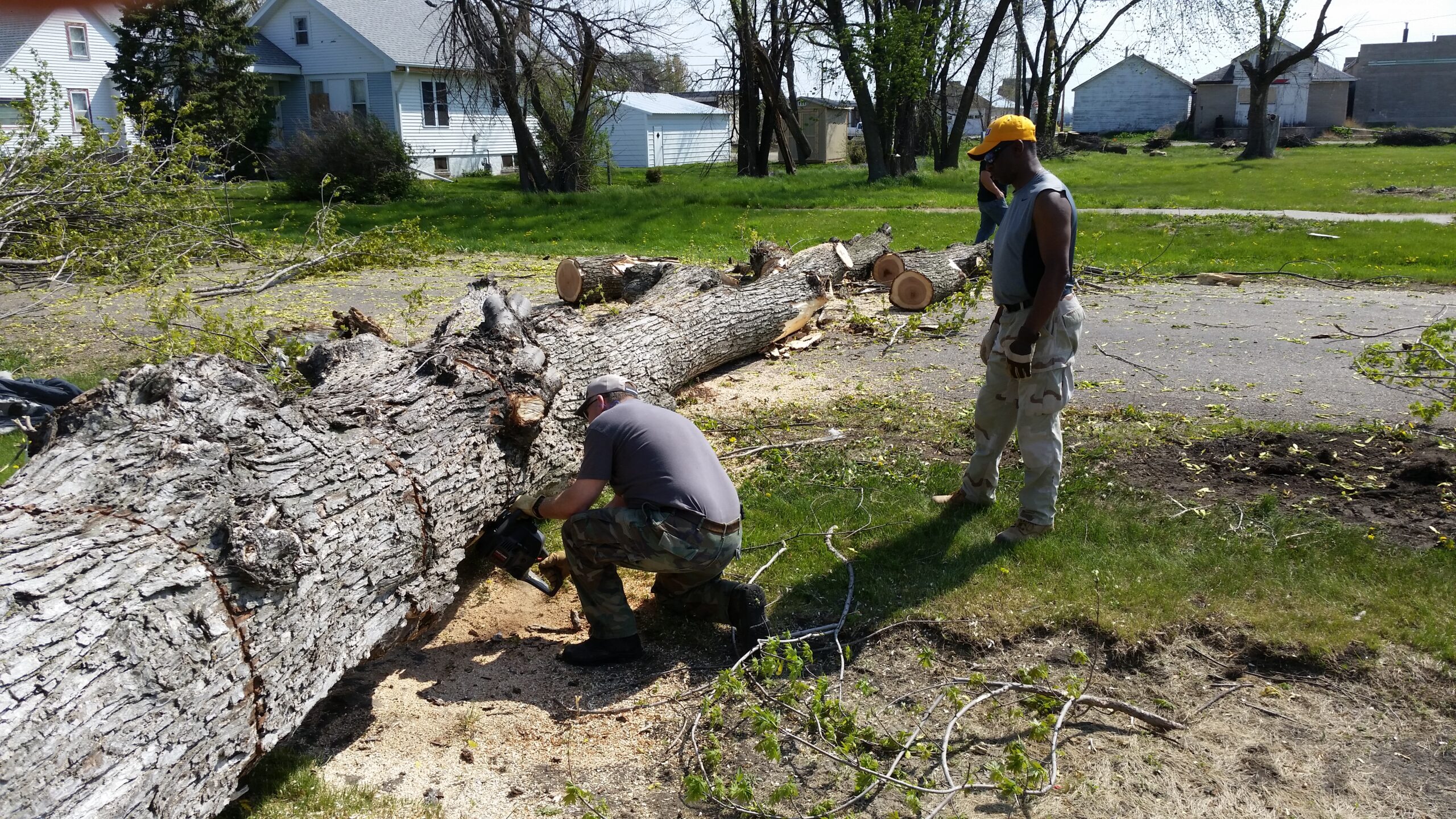 Terry_Allen_Chainsaw