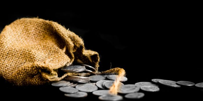 Bag of Coin