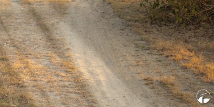 Devotion - Were Not Our Hearts Burning